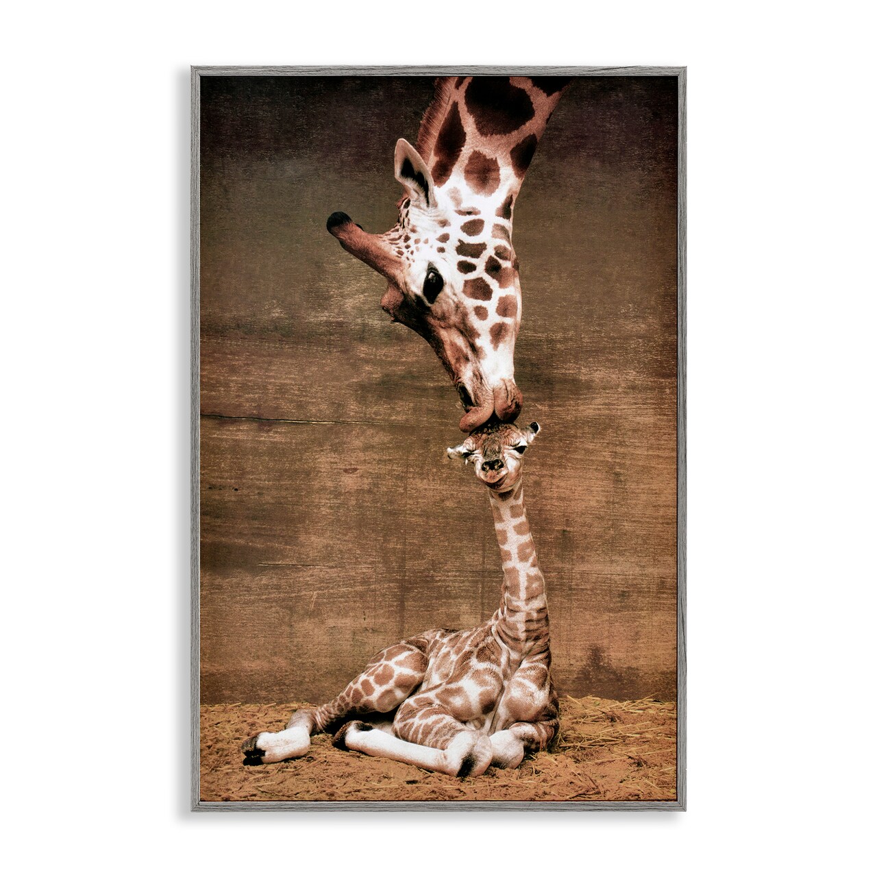 Stupell Industries Mother's Love Giraffes Framed Giclee, design by Unknown